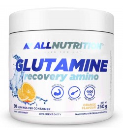 GLUTAMINE RECOVERY AMINO 250 g ALLNUTRITION